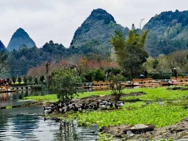 鹅泉跃鲤三层浪，广西靖西好风光……随舒建新到鹅泉村探访“灵泉晚照”