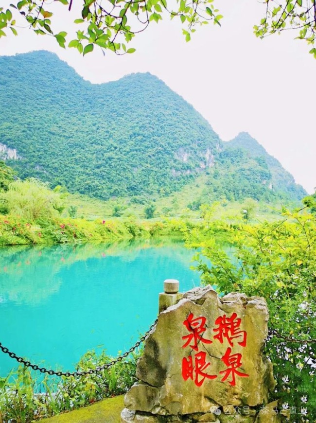 鹅泉跃鲤三层浪，广西靖西好风光……随舒建新到鹅泉村探访“灵泉晚照”