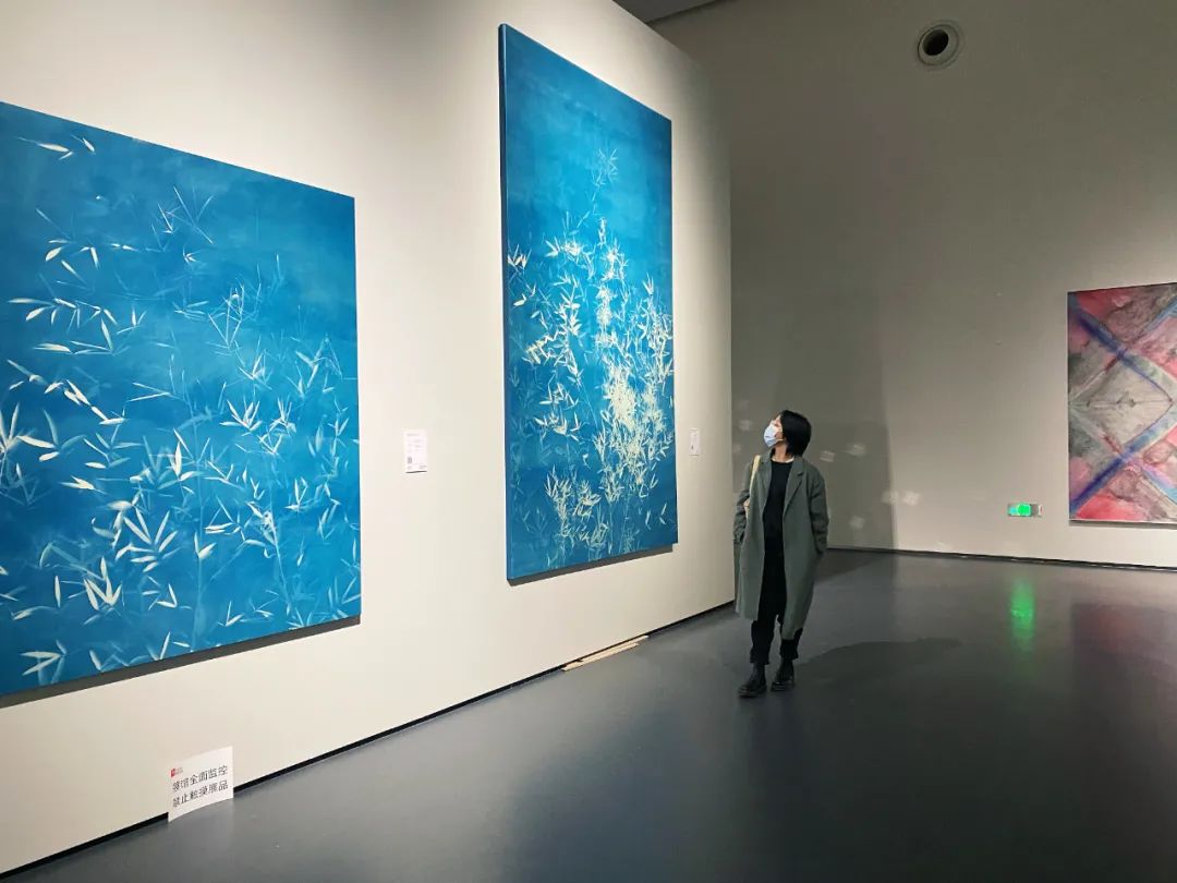 在融合、融汇、融化中打开艺术新天地——“超融体·2021成都双年展”开幕之际专访总策展人范迪安