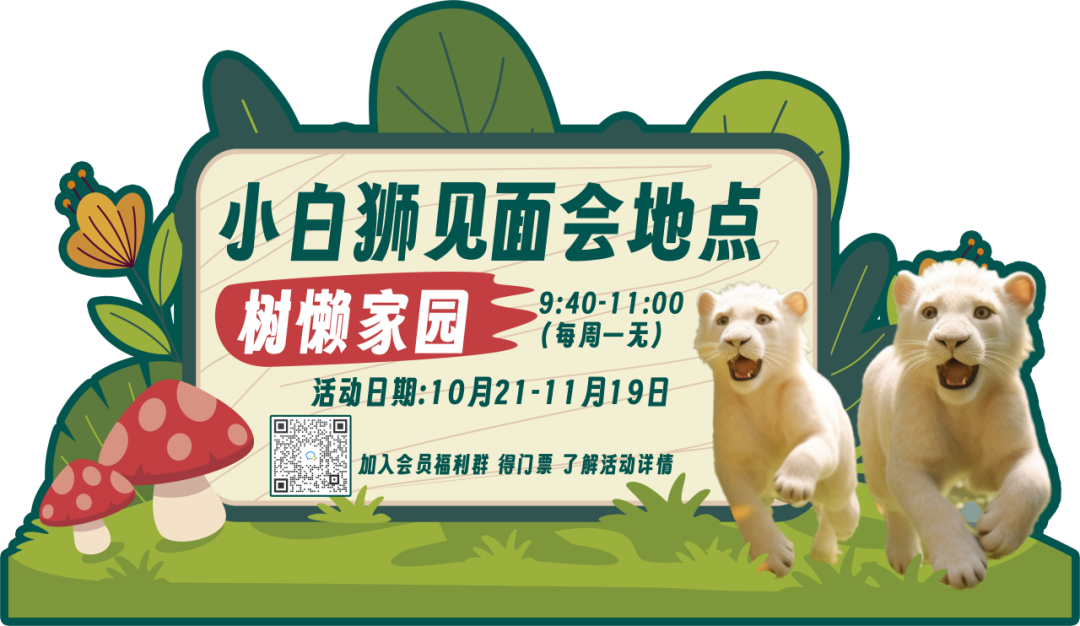双11超值门票 特惠年卡，购一次省一年，把泉城欧乐堡变成自家乐园！
