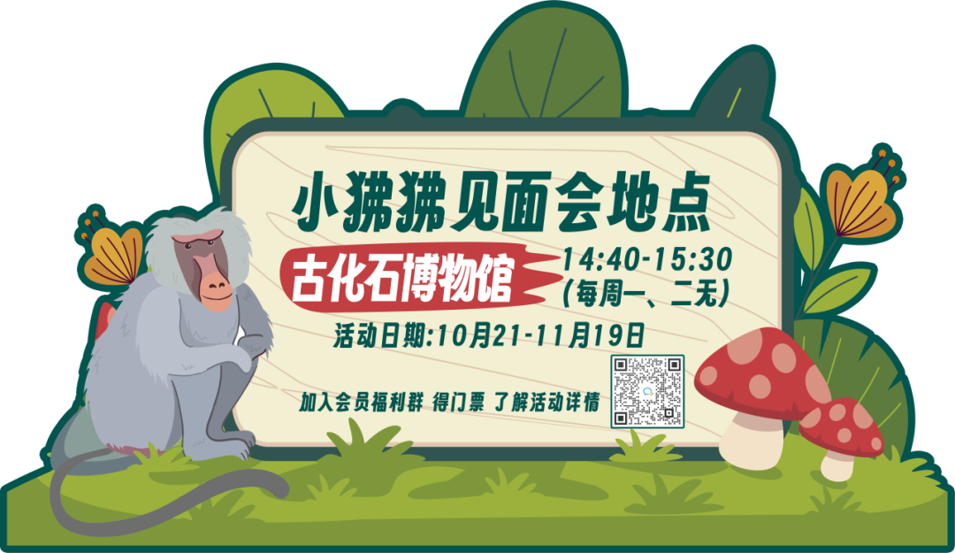 双11超值门票 特惠年卡，购一次省一年，把泉城欧乐堡变成自家乐园！