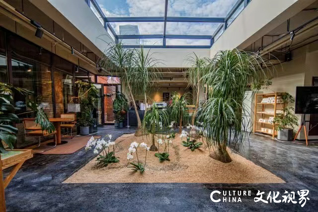 上海咖啡界天花板一尺花园 唤醒济南古城名片“高升店”