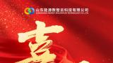 齐鲁云商数智云科化工新材料“产业大脑”入选2024年度省级示范型“产业大脑”名单