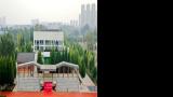 山师大天衢新区杨庄实验小学以劳动教育为抓手，多措并举构建全环境育人体系