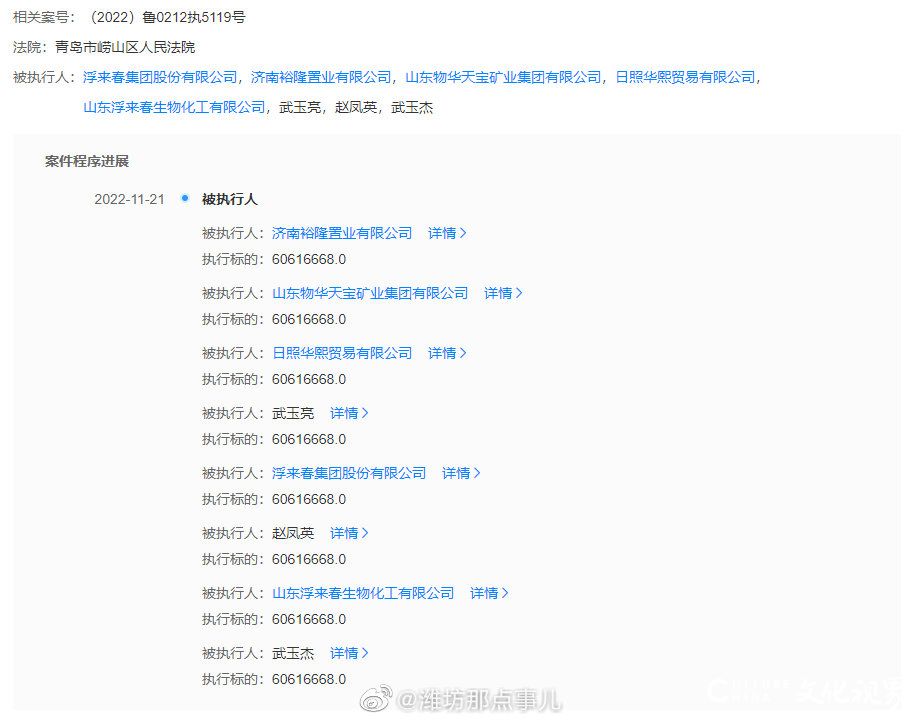 日照浮来春集团被强制执行6000余万元