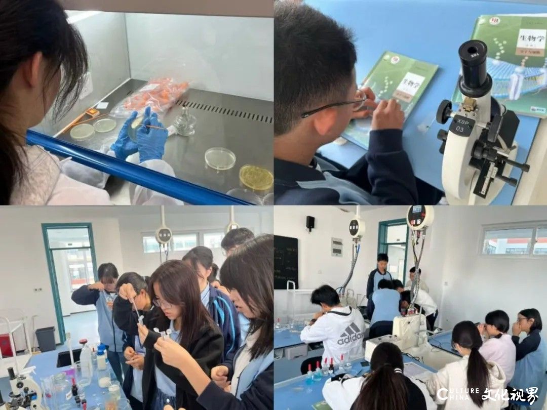 海尔学校学子在2024年英国生物测评（中级）/ibo中斩获1金2银3铜