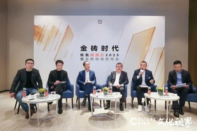 吉利控股总裁、极氪智能科技ceo安聪慧：金砖电池是极氪核心护城河