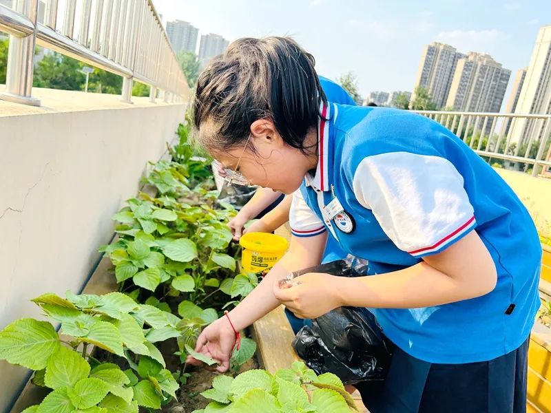 细数济南市历城区祥泰实验学校2023年十件大事
